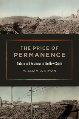 The Price of Permanence(English, Paperback, Bryan William D.)
