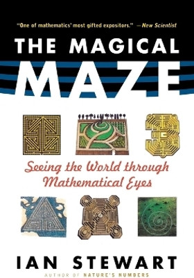 The Maze P(English, Paperback, STEWART)