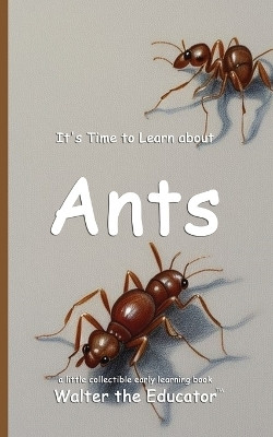 It's Time to Learn about Ants(English, Paperback, Walter the Educator)