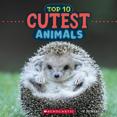 Cutest Animals (Wild World: Top 10)(English, Paperback, Maloney Brenna)