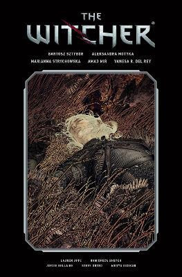 The Witcher Library Edition Volume 2(English, Hardcover, Sztybor Bartosz)