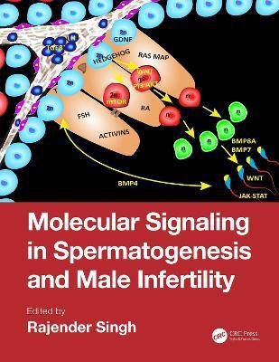 Molecular Signaling in Spermatogenesis and Male Infertility(English, Hardcover, unknown)