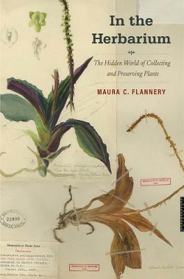 In the Herbarium(English, Hardcover, Flannery Maura C.)