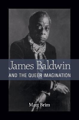 James Baldwin and the Queer Imagination(English, Paperback, Brim Matt)