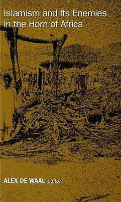 Islamism and Its Enemies in the Horn of Africa(English, Paperback, unknown)