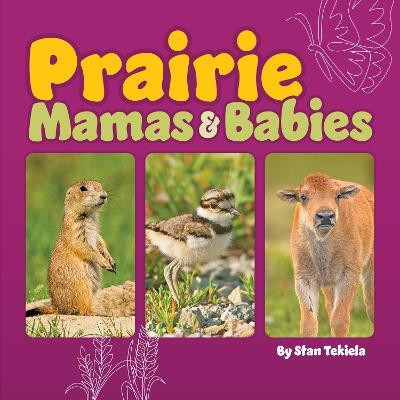 Prairie Mamas and Babies(English, Board book, Tekiela Stan)