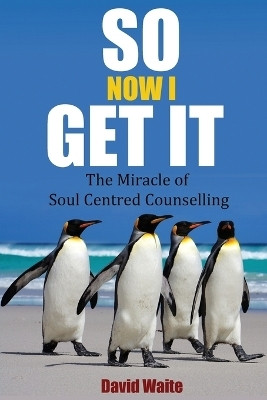 So Now I Get It(English, Paperback, Waite David)