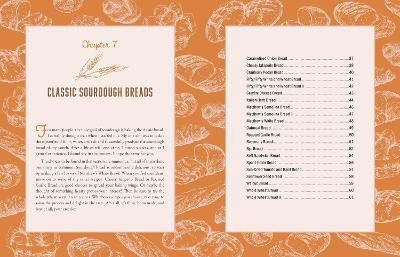 The Homestead Sourdough Cookbook(English, Paperback, Varozza Georgia)