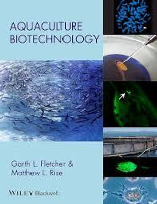 Biomarkers of Tumor Metastasis and Invasiveness(English, Hardcover, unknown)