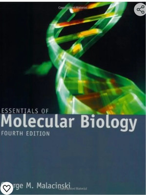 Essentials Of Molecular Biology(English, Paperback, Malacinski George M.)