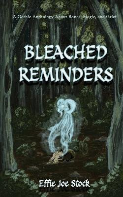 Bleached Reminders(English, Paperback, Stock Effie Joe)