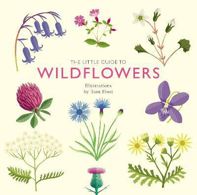 The Little Guide to Wildflowers(English, Hardcover, Davies Alison)