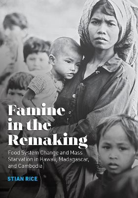 Famine in the Remaking(English, Hardcover, Rice Stian)