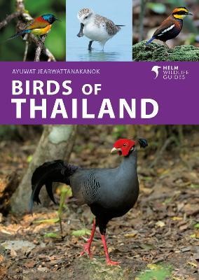 Birds of Thailand(English, Paperback, Jearwattanakanok Ayuwat)