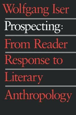 Prospecting(English, Paperback, Iser Wolfgang)