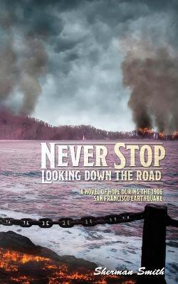 Never Stop Looking Down the Road(English, Paperback, Smith Sherman L)