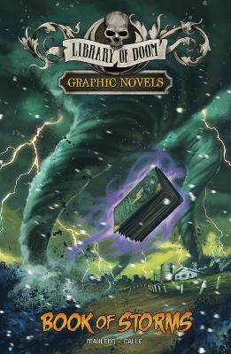 Book of Storms(English, Paperback, Mauleon Daniel)
