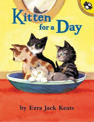 Kitten for a Day(English, Paperback, Keats Ezra Jack)