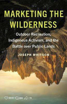 Marketing the Wilderness(English, Paperback, Whitson Joseph)