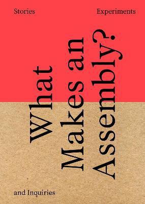 What Makes an Assembly?(English, Paperback, unknown)