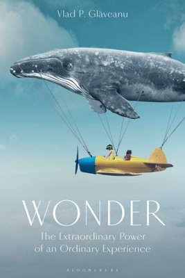 Wonder(English, Paperback, Glaveanu Vlad P.)