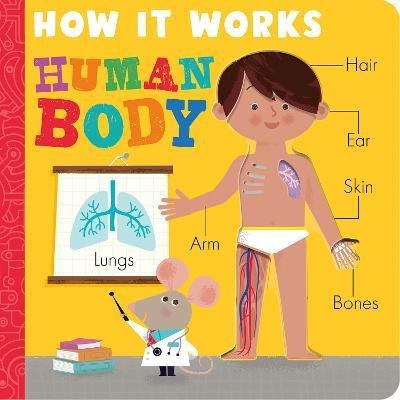 How it Works: Human Body(English, Board book, Hepworth Amelia)