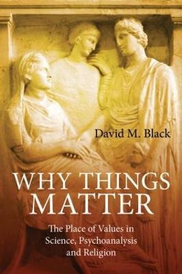 Why Things Matter(English, Paperback, Black David M.)