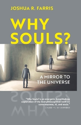 Why Souls?(English, Paperback, Farris Joshua R.)