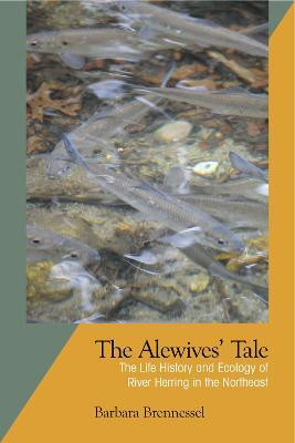 The Alewives Tale(English, Paperback, Brennessel Barbara)