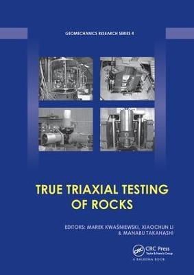 True Triaxial Testing of Rocks(English, Paperback, unknown)