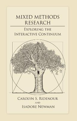 Mixed Methods Research(English, Paperback, Ridenour Carolyn S.)