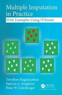 Multiple Imputation in Practice(English, Hardcover, Raghunathan Trivellore)