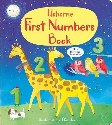 First Numbers Book(English, Board book, Cartwright Mary)