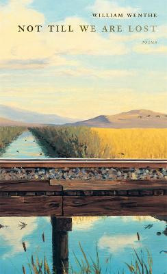 Not Till We Are Lost(English, Paperback, Wenthe William)