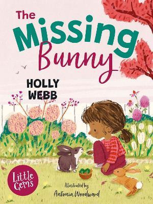 The Missing Bunny(English, Paperback, Webb Holly)