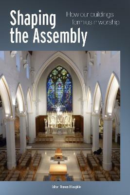 Shaping the Assembly(English, Paperback, unknown)