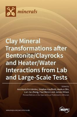 Clay Mineral Transformations after Bentonite/Clayrocks and Heater/Water Interactions from Lab and Large-Scale Tests(English, Hardcover, unknown)