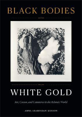 Black Bodies, White Gold(English, Hardcover, Arabindan-Kesson Anna)