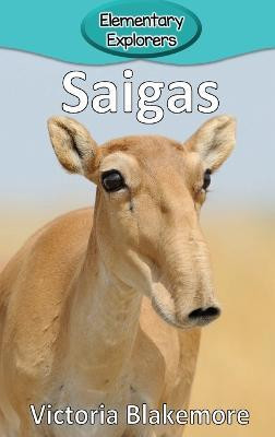 Saigas(English, Hardcover, Blakemore Victoria)