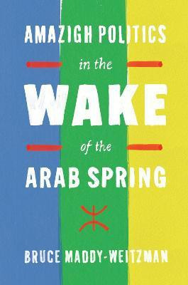 Amazigh Politics in the Wake of the Arab Spring(English, Hardcover, Maddy-Weitzman Bruce)