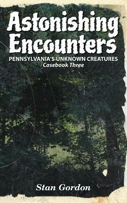 Astonishing Encounters(English, Paperback, Gordon Stan)