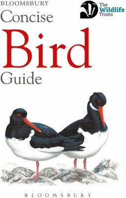 Concise Bird Guide(English, Paperback, Bloomsbury)