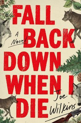 Fall Back Down When I Die(English, Paperback, Wilkins Joe)