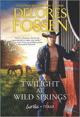 Twilight at Wild Springs(English, Paperback, Fossen Delores)
