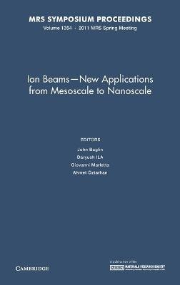 Ion Beams - New Applications from Mesoscale to Nanoscale: Volume 1354(English, Hardcover, unknown)