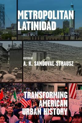 Metropolitan Latinidad(English, Paperback, unknown)