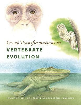 Great Transformations in Vertebrate Evolution(English, Paperback, unknown)