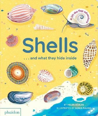 Shells... and what they hide inside(English, Board book, Scales Helen)