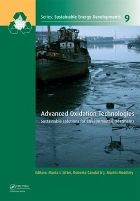 Advanced Oxidation Technologies(English, Hardcover, unknown)
