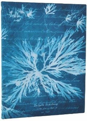 Sea Flowers (Anna Atkins' Cyanotypes) Ultra Lined Softcover Journal (Elastic Band Closure)(English, Paperback, Paperblanks)